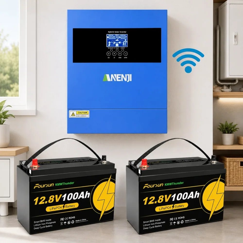 4.2 кВт LiFePO4 Комплект резервного живлення Інвертор Anenji WiFi 24 В + 2 акумулятора 12V 100Ah Foursun
