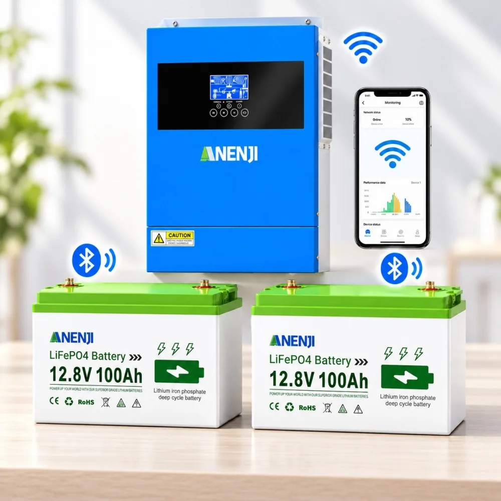 4,2 кВт LiFePO4 Комплект резервного живлення Інвертор Anenji WiFi + 2 акумулятора 12V 100Ah Bluetooth для квартири, будинку